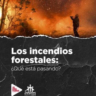 Incendios forestales: ¿Qué está pasando?