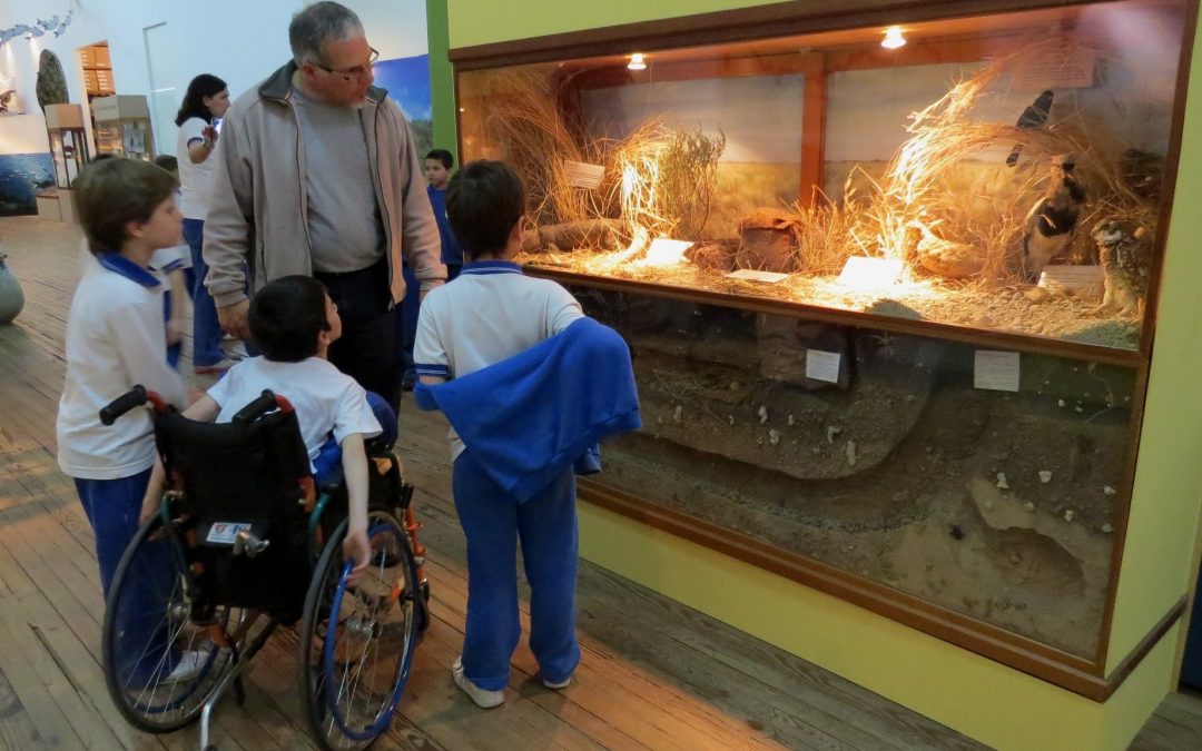 Museo de Ciencias Naturales Antonio Scasso: Un espacio educativo único en San Nicolás.