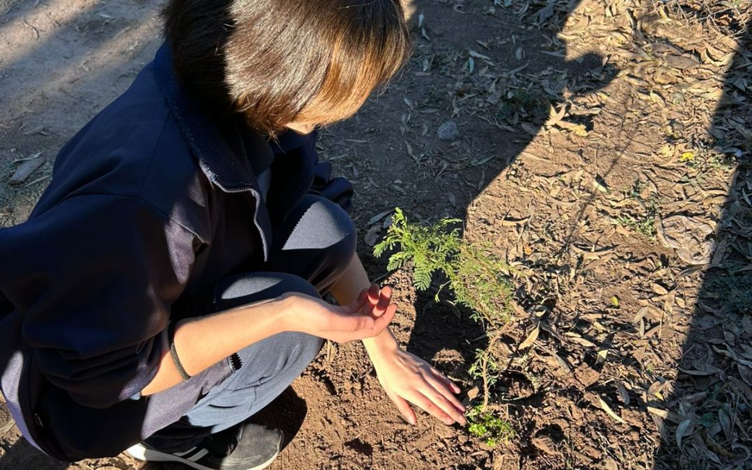 La esperanza se planta en Córdoba: proyecto de reforestación en el Domingo Savio