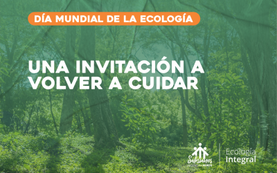 Día Mundial de la Ecología: una invitación a volver a cuidar